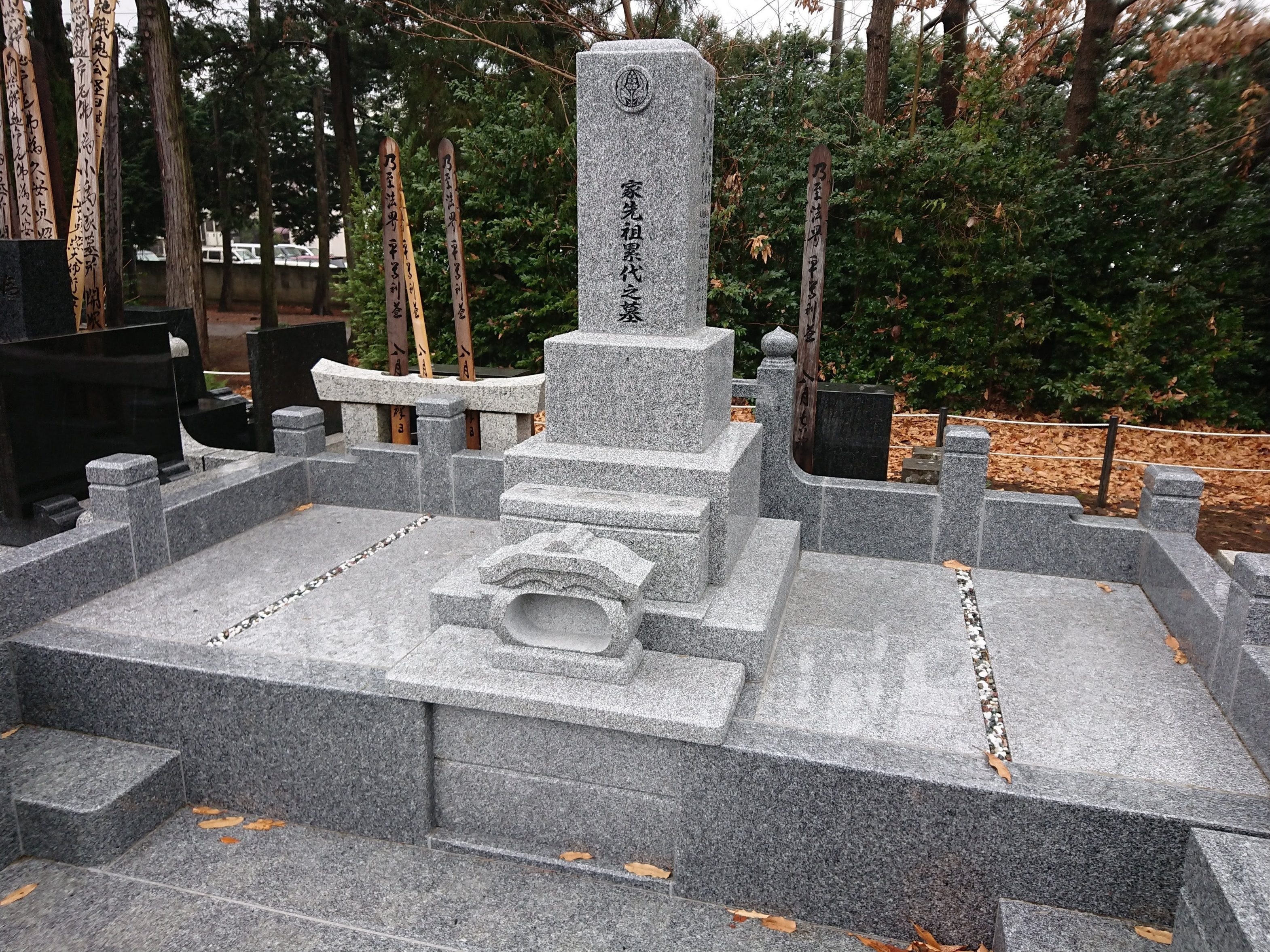 新着 コーティング降雪後