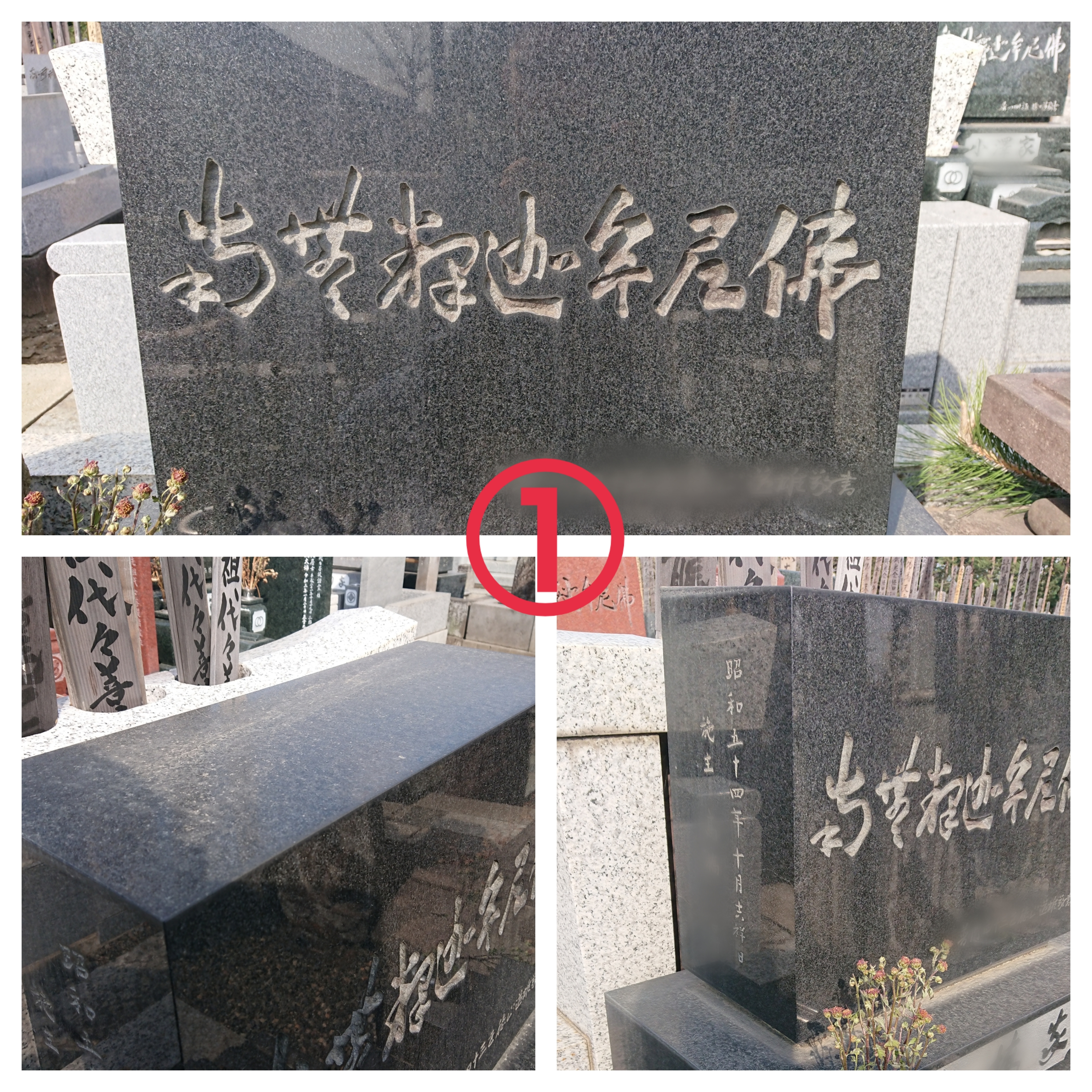 新着 経年通常状態墓石